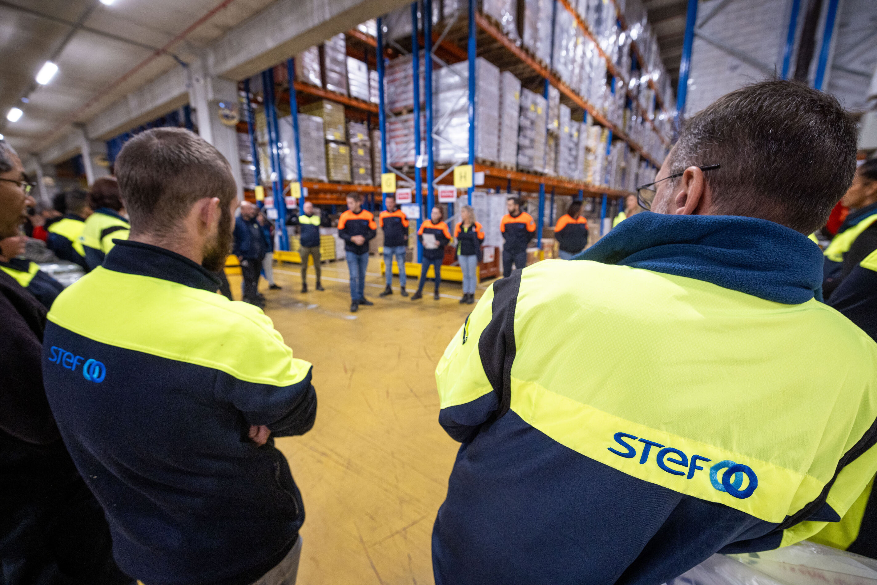 Stef Obo Clandoeil Fr