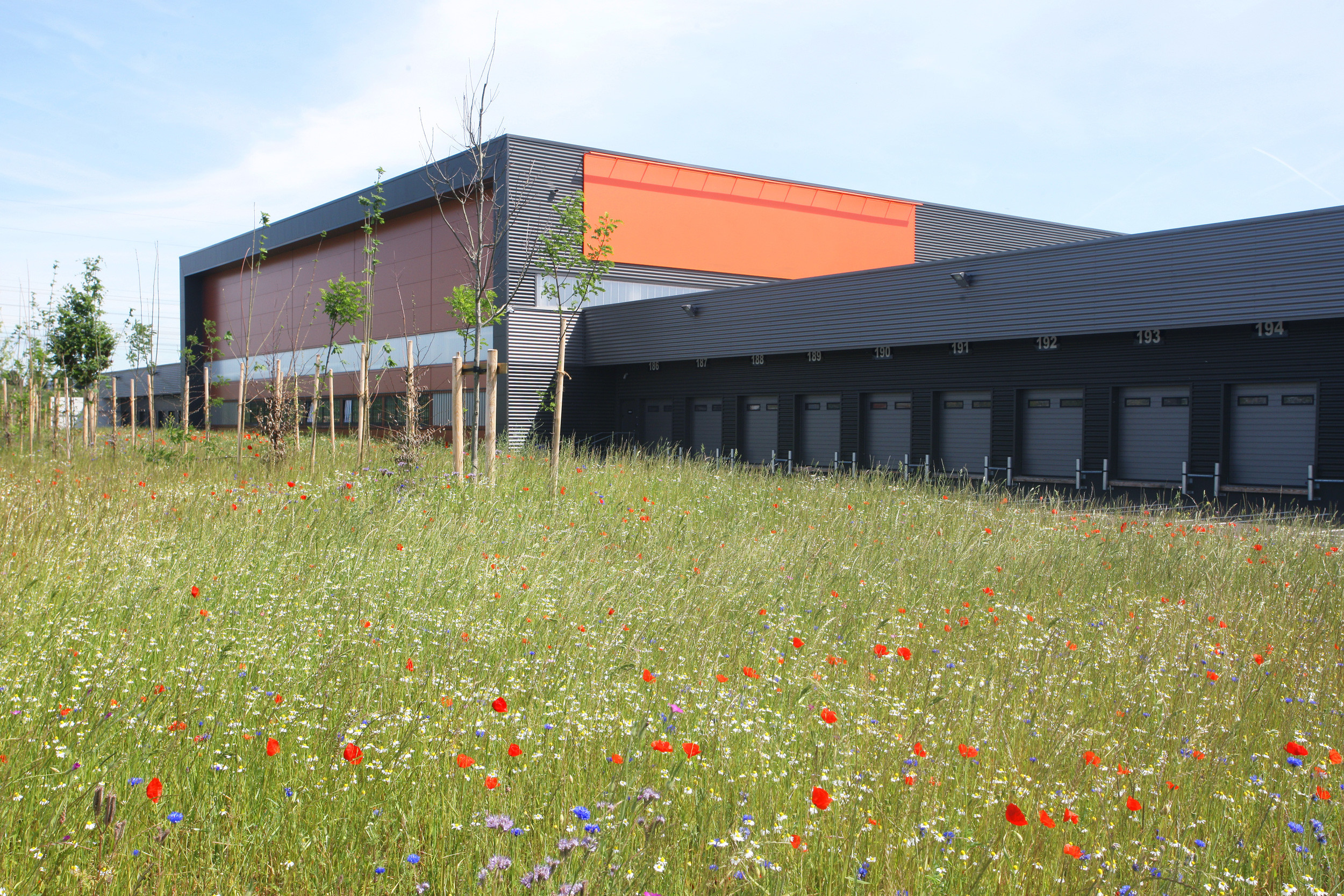 Barjane Pole Logistique Aeroliansparis Trembaly En France Prairie Mellifere Web